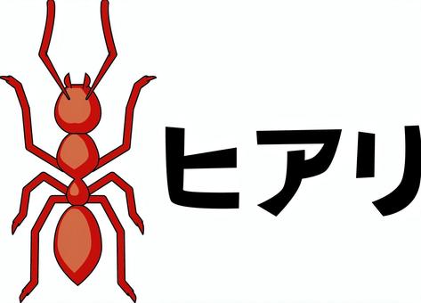 ヒアリ　 ヒアリ,外来種,危険,蟻,昆虫,小さい,生物,リアル,カタカナのイラスト素材