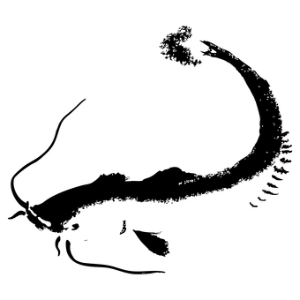 墨絵で描かれたナマズ 魚,墨絵,ナマズ,生き物,水墨画のイラスト素材