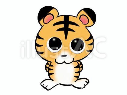 上目遣いの子トラちゃん