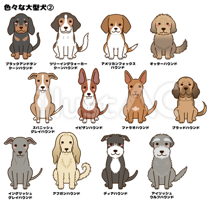色々な大型犬② 〇〇ハウンド