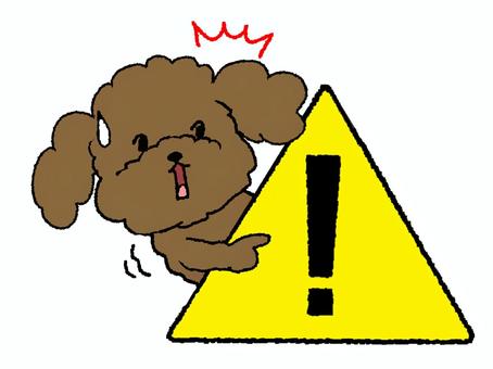 注意をしてくるトイプードル 注意をしてくるトイプードル トイプードル,汗,注意,注意喚起,メッセージ,可愛い,pop調,手描き,挿絵,ワンポイントのイラスト素材