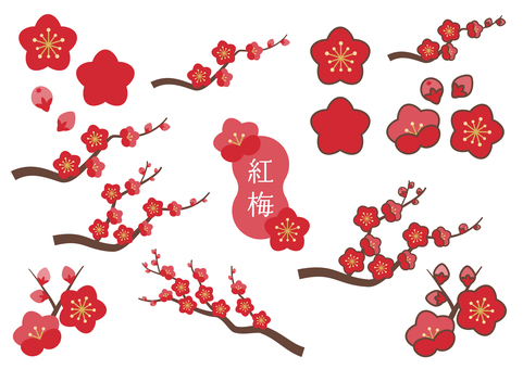 Illustration, Illustration, plum, plum blossom, red plum,