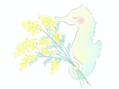 ミモザを持つタツノオトシゴ タツノオトシゴ,ミモザ,かわいい,手描き,手書き,水彩,辰年,年賀,年賀状,ふんわりのイラスト素材