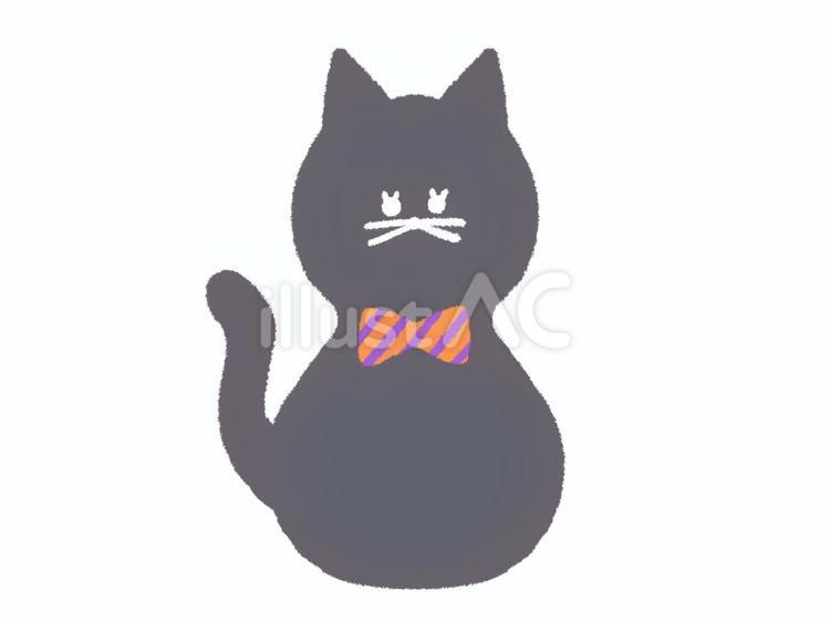 ハロウィンの黒猫(オレンジ) 猫,キャット,黒猫のイラスト素材