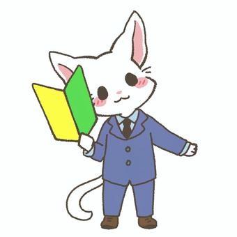 スーツ姿の初心者マークを持った白猫 初心者,ビジネスマン,初心者マーク,若葉マーク,仕事,職業,笑顔,案内,受付,説明のイラスト素材