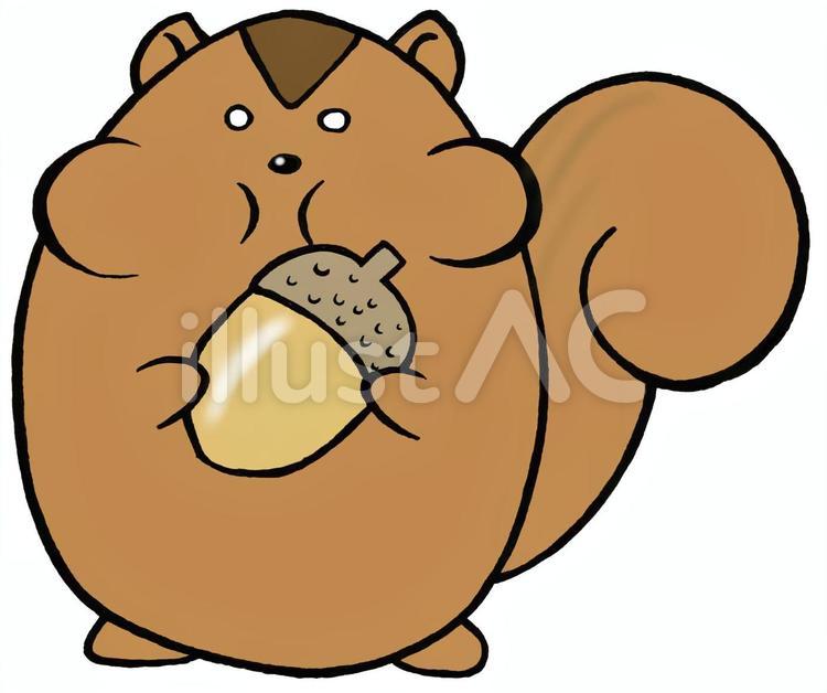 まるいリス（頬袋） リス,りす,栗鼠のイラスト素材