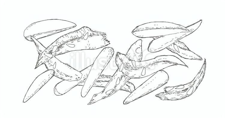 【おつまみ】アーモンドと小魚の線画 アーモンド,小魚,ナッツのイラスト素材