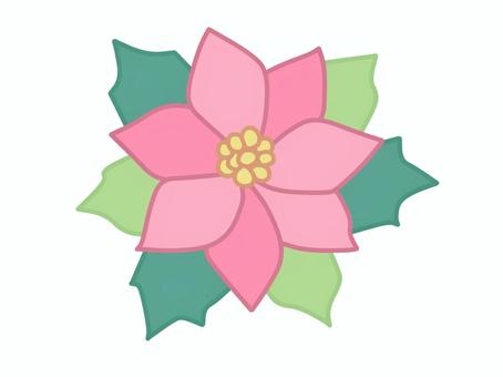 ポインセチアのイラスト クリスマス,飾り,花,ポインセチア,挿絵,かわいい,イラスト,手書き,素材,小物のイラスト素材