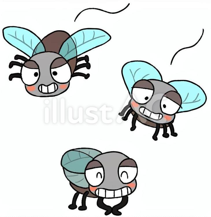ハエ３兄弟 ハエ,コバエ,虫のイラスト素材