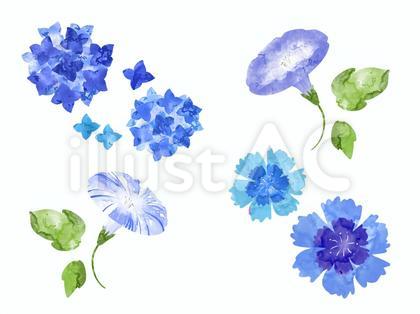 青い花のイラストセット
