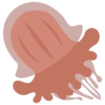 Echizen jellyfish, echizen jellyfish, jellyfish, marine life, JPG and PNG