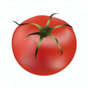 トマト　イラスト トマト,野菜,食材,赤い,夏のイラスト素材