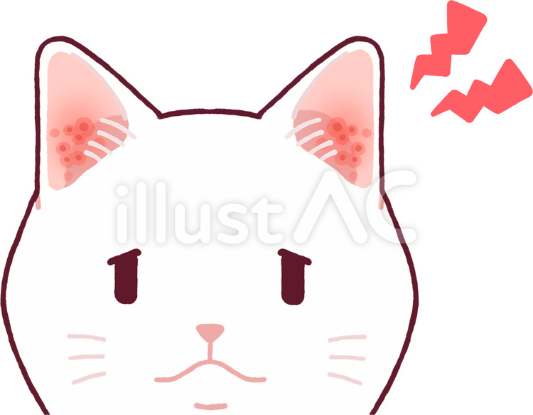 耳が赤くなっている猫 動物,猫,ペットのイラスト素材