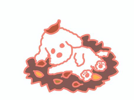 秋の落ち葉に埋もれるワンコ 犬,ワンコ,わんこ,ペット,かわいい,寝転ぶ,枯葉,秋,落ち葉,ふわふわのイラスト素材