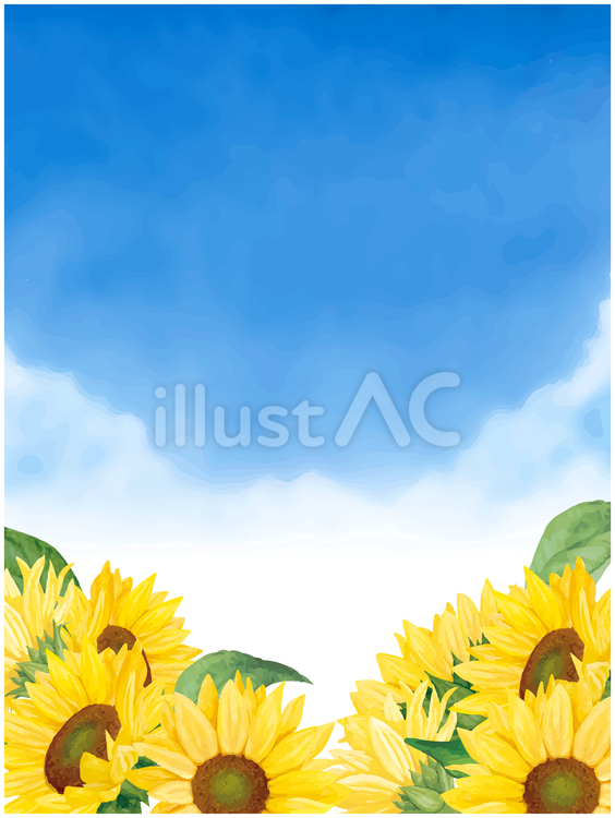 ひまわりと夏の空の背景素材 ひまわり,ひまわり畑,空のイラスト素材