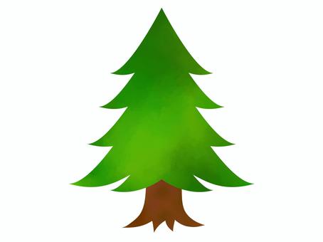 水彩素材_モミの木01 モミの木,木,クリスマスツリー,水彩,針葉樹,自然,植物,植木,樹木,冬のイラスト素材