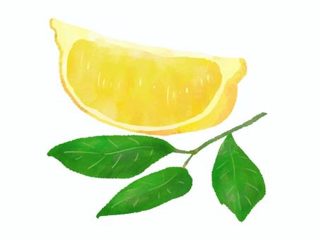 Illustration, lemon, cut lemon, food, 