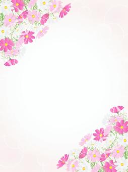 コスモスのフレーム、背景51 コスモス,秋桜,水彩,花,秋,フレーム,背景,手描き,枠,飾り枠のイラスト素材