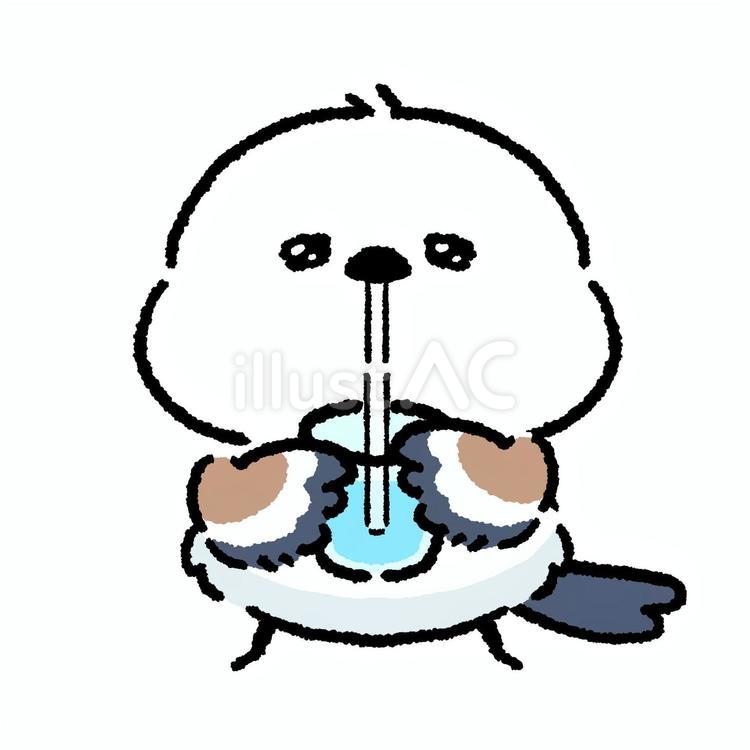 シマエナガ_水を飲む_02 シマエナガ,鳥,動物のイラスト素材