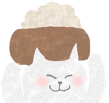 Cat♪, JPG Cat♪, tiny, cat, animal, JPG