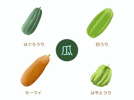 うり　セット（はぐらうり、他）野菜名入り うり,セット,瓜,はぐらうり,白うり,モーウイ,赤瓜,はやとうり,はぐら瓜,夏のイラスト素材
