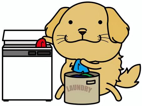 ゴールデンさん 縦型洗濯機 洗濯機,縦型洗濯機,ゴールデンレトリバー,犬,動物,キャラクター,哺乳類,家電,洗濯,ベクターのイラスト素材