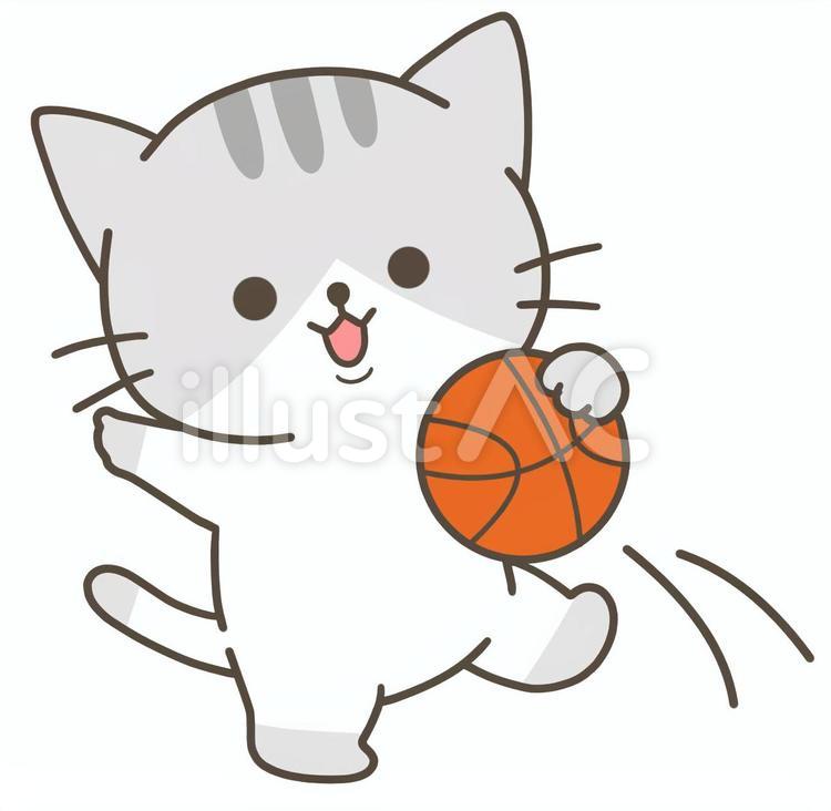 RIPNDIP バスケットボールパンツ 青黒模様 猫イラスト RIPNDIP バスケットボールパンツ 青黒模様 猫イラスト - メルカリ