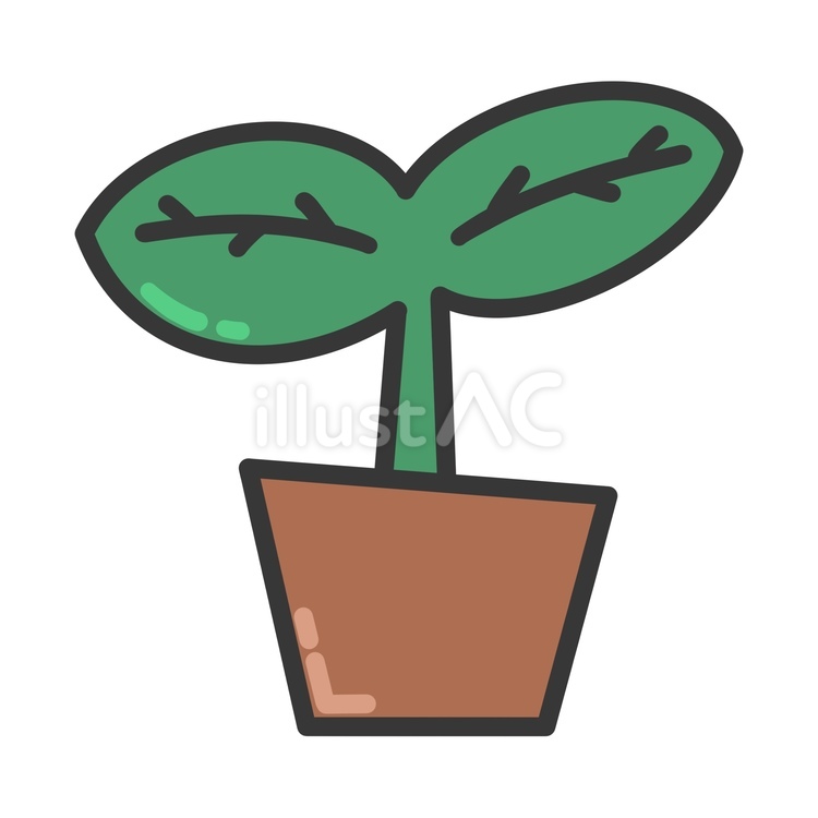 植木鉢に入ってる芽を出した植物 植物,芽,双葉のイラスト素材