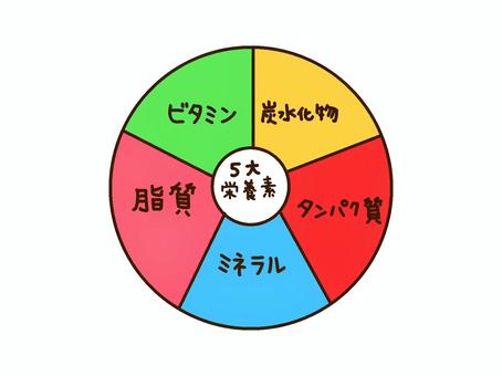 家庭科　5大栄養素 5大栄養素,家庭科,炭水化物,タンパク質,ミネラル,脂質,ビタミン,主な,必要な,栄養素のイラスト素材