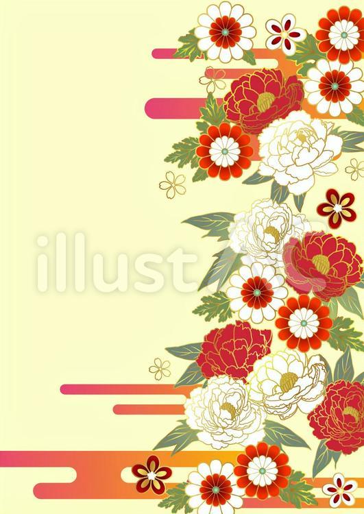 紅白牡丹や菊の和花と雲の背景タテイラスト No 無料イラストなら イラストac 紅白牡丹や菊の和花と雲の背景タテイラスト No 無料イラストなら イラストac