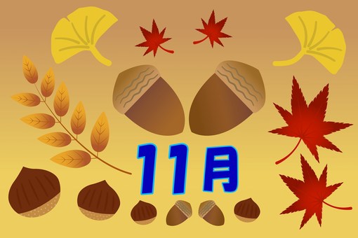 11月のイメージ 11月のイメージ 11月,どんぐり,イチョウ,銀杏,栗,落ち葉,紅葉,葉,黄色,木の実のイラスト素材