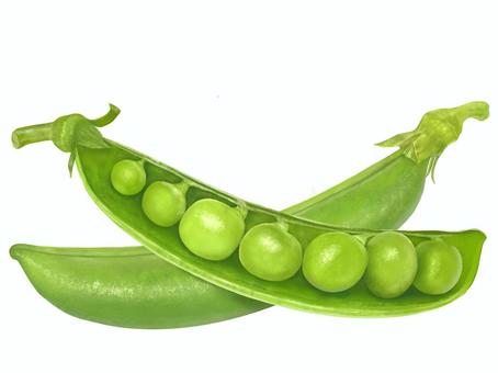 Illustration, snap pea, pea, snack pea, 