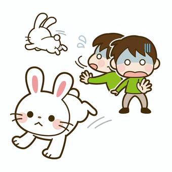 Illustration, those who chase two rabbits do not get one rabbit, proverb, rabbit, 