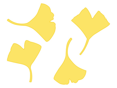 Illustration, ginkgo, düşmüş yapraklar, sonbahar mevsimi, 