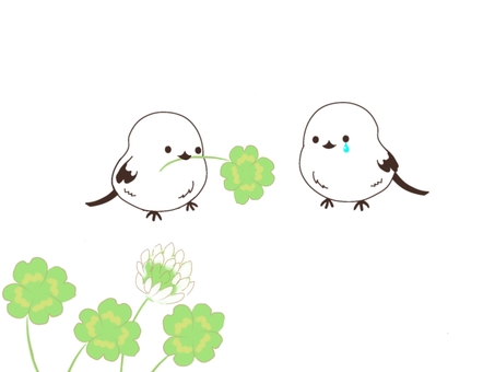 泣いてるシマエナガとクローバー シマエナガ,鳥,クローバー,よつ葉,草,花,白,小鳥,泣く,慰めるのイラスト素材