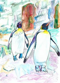 ペンギン ペンギン,生き物,鳥類,水彩画,手描きのイラスト素材
