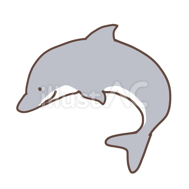 イルカイラスト - No: 955284｜無料イラスト・フリー素材なら