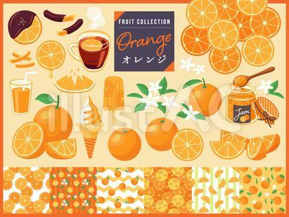オレンジのイラストセット