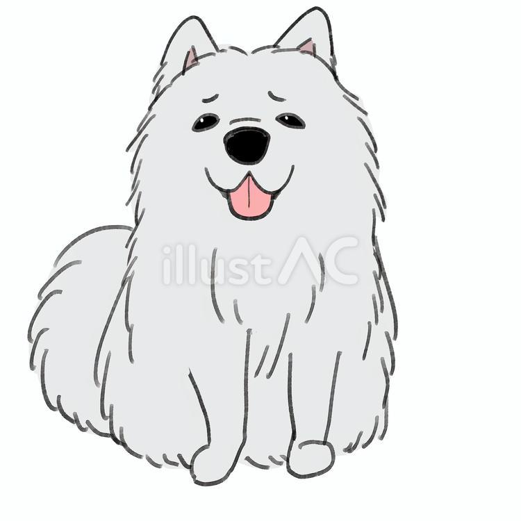 困り顔の大型犬 犬,大型犬,ペットのイラスト素材