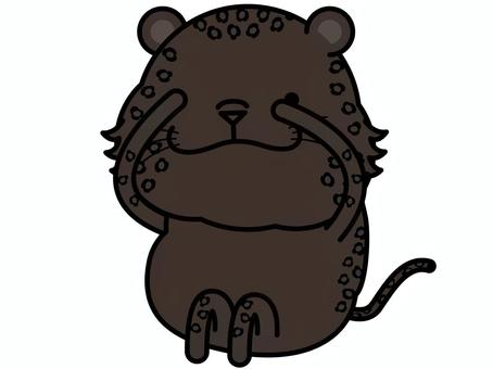 クロヒョウさん チラ見 チラ見,覗き見,クロヒョウ,豹,恐る恐る,キャラクター,動物,哺乳類,ベクター,イラストのイラスト素材