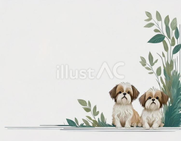 シーズー　背景　フレーム　素材 犬,フレーム,動物のイラスト素材