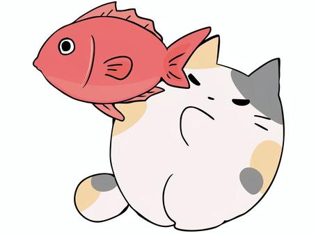 たいこぅもち（太鼓持ち） ねこ,三毛猫,鯛,魚,見せる,主張,主線あり,イメージ,動物,ゆるかわのイラスト素材