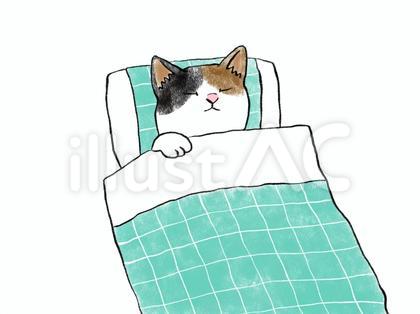 ねこ お布団でおやすみ 5 三毛