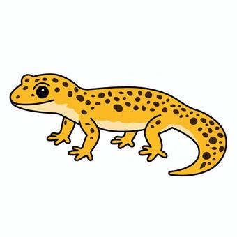ヒョウモントカゲモドキ