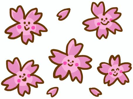 Cherry Blossoms, cherry blossoms, petal, spring, JPG and PNG