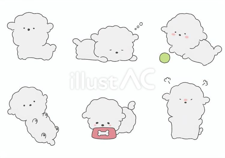 ふわふわ子犬 犬,動物,ビションフリーゼのイラスト素材