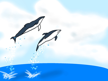 Summer sea dolphins, summer, dolphin, sea, JPG and PNG