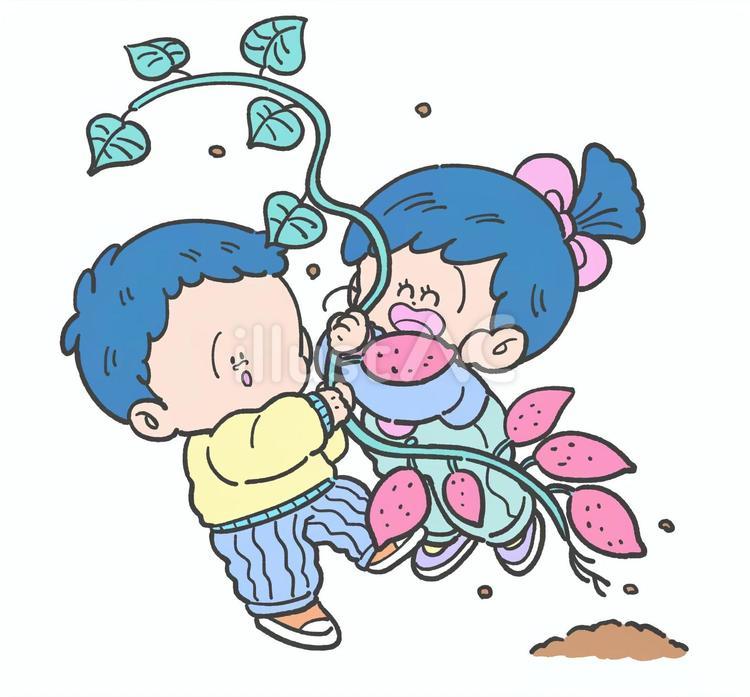 芋掘りをする子どもの手描きラスト 芋掘り,秋,子どものイラスト素材