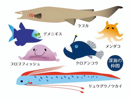 Illustration, deep-sea fish, labucca, ryugounokkai, 