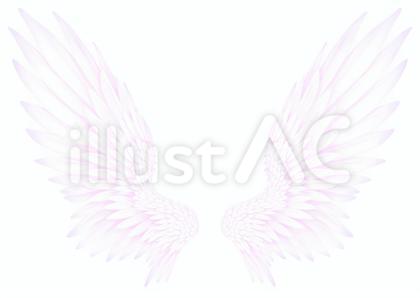 ピンクがかった白い翼
